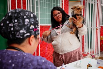 WhatsApp Image 2025-05-13 at 11.39.18.jpeg